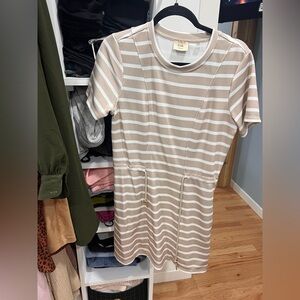 Tahari Beige and White Striped Short Sleeve Top